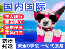 汉中城固航空运输国际宠物托运 【国